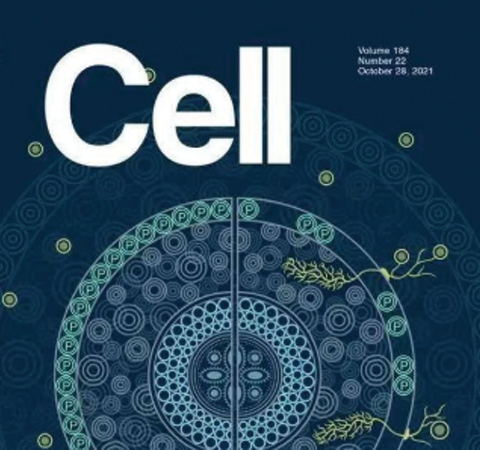 祝賀王二濤老師團隊又一佳作榮登Cell期刊！