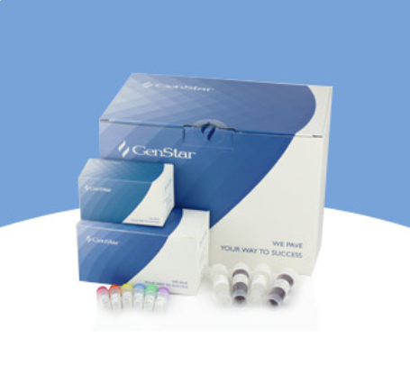 GenStar DNA Markers 系列產(chǎn)品規格&貨號調整通知