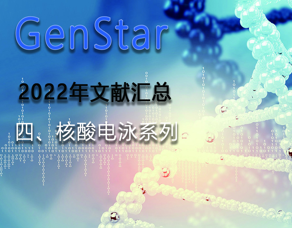 GenStar 2022年文獻匯總（四、核酸電泳系列）